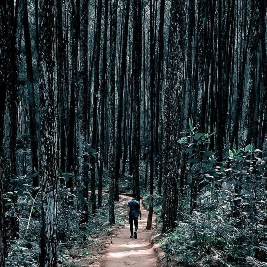 Seribu Batu Songgo Langit Resort & Camp Bantul Eksteriør billede