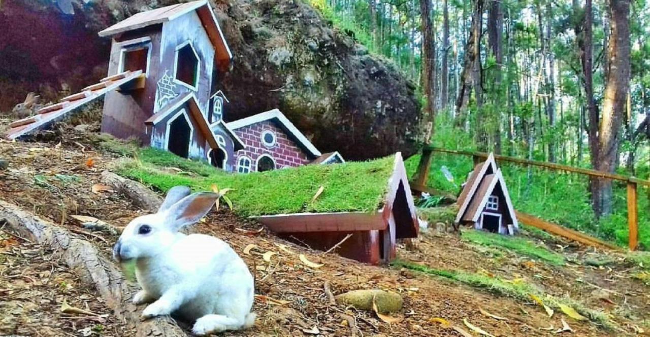 Seribu Batu Songgo Langit Resort & Camp Bantul Eksteriør billede